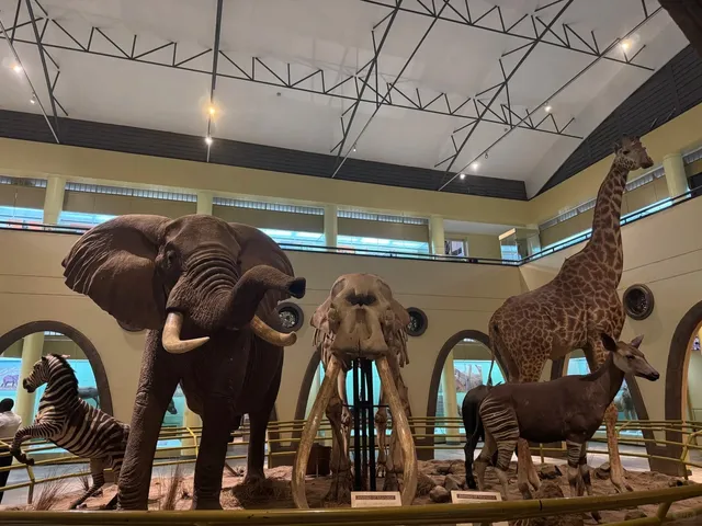 🇰🇪 Nairobi's Must-Visit Hidden Gem: The National Museum of Kenya