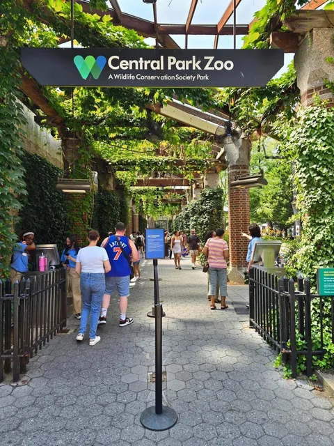 A Mini Tour of Central Park's Landmarks (2)🌳