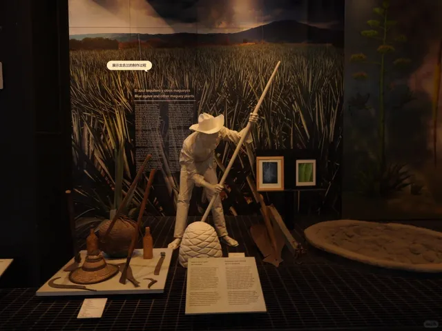 🌵🍹 Mexico’s Must-Visit Museum: Tequila & Mezcal Museum 🥃