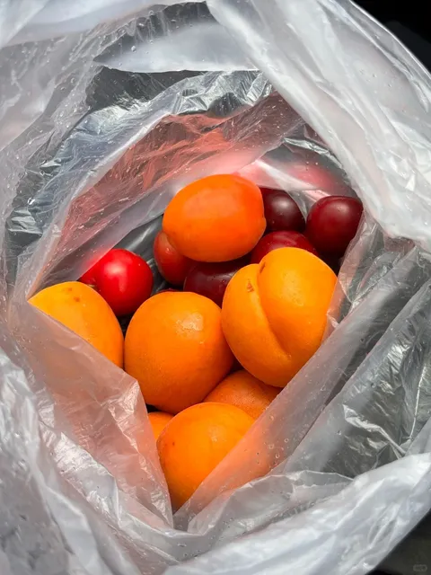 Denver Photo Diary 📸 | Downtown + Garden of the Gods