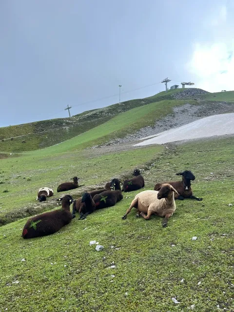 🇦🇹 Innsbruck | Heart of the Alps 🏔️
