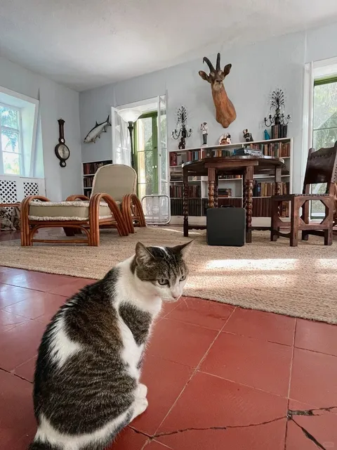 Miami After the U.S. Election ☀️ Still Enchanting