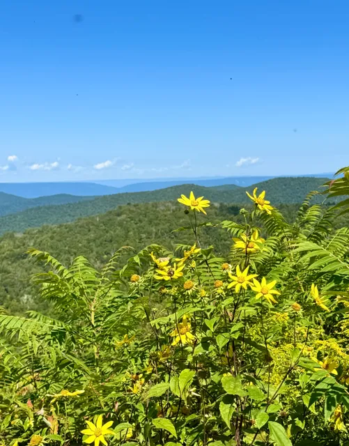 Shenandoah National Park 🌄 | Virginia’s Mountain Escape