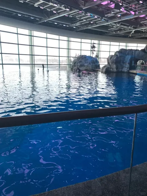 🐬 Shedd Aquarium: Skip It (Unless You Love Parking Nightmares) 😅