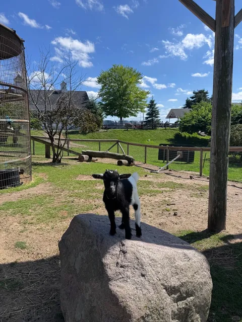 🇺🇸 Ann Arbor Weekend Date Idea｜Cherry Picking 🍒