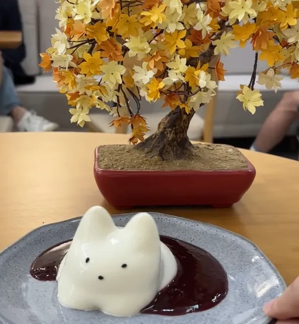 Sao Paulo 🇧🇷 Japanese dessert shop | Matcha / Dofu / Puppy pudding