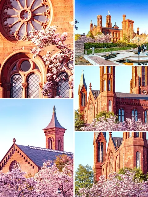Washington D.C. Architecture |   Magnolias & the Smithsonian Castle 🏰