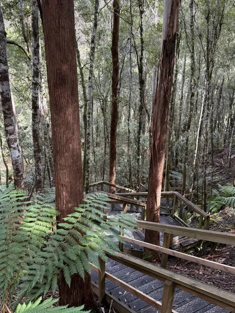 🌿💦 Hiking Day! Field Mountain National Park's Waterfall Loop 