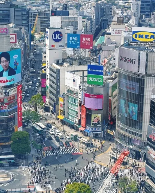 【Tokyo · Recommendations】: Must-Visit Attractions, Summary (3)🌟