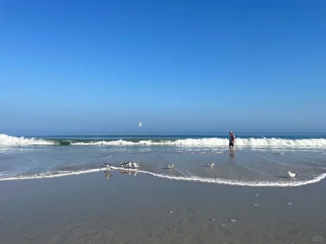 A Warm Winter Escape