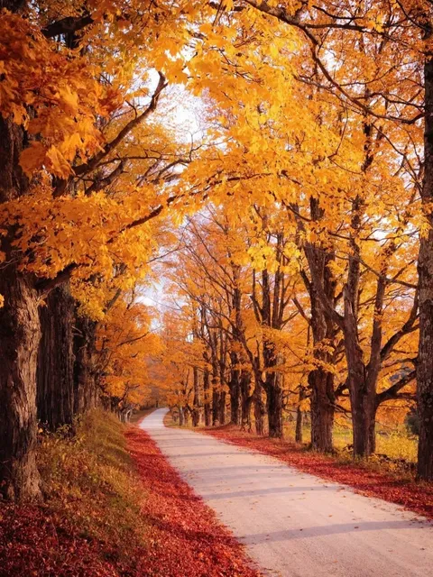  The Quintessential English Countryside - London's Secret Garden