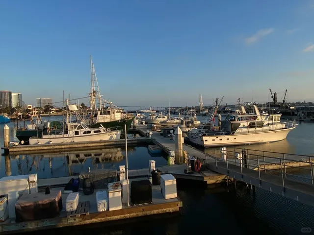 🇺🇸 San Diego — So Beautiful & Fun, You HAVE to Visit! ⛵️