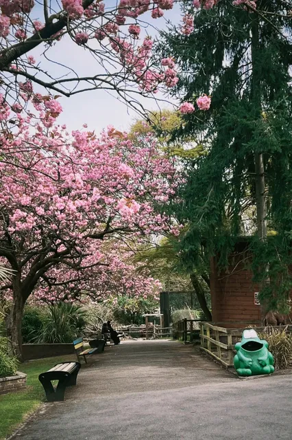 Birmingham Wildlife Conservation Park 🐾