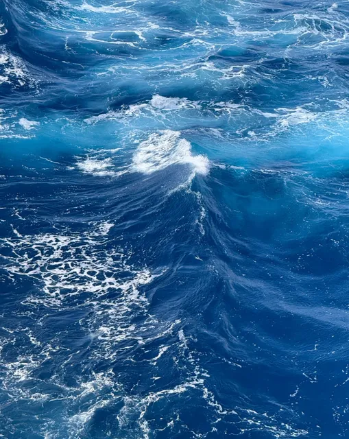 Sardinia Snapshots | Cagliari’s Perfect Chaos