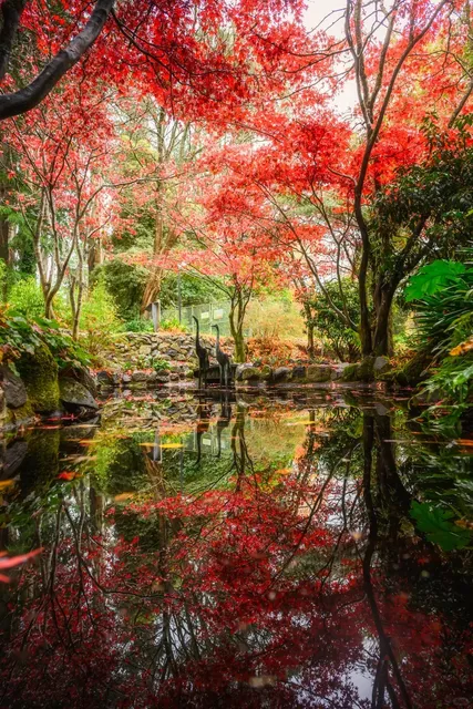 Did I Accidentally Teleport to Japan? Melbourne's Hidden Fairyland
