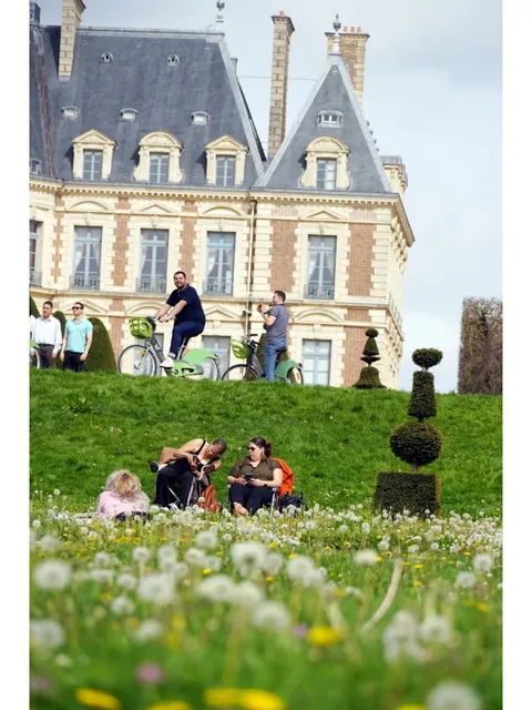 🌿 Lying Beside Dandelions, Flying with Them 🌿