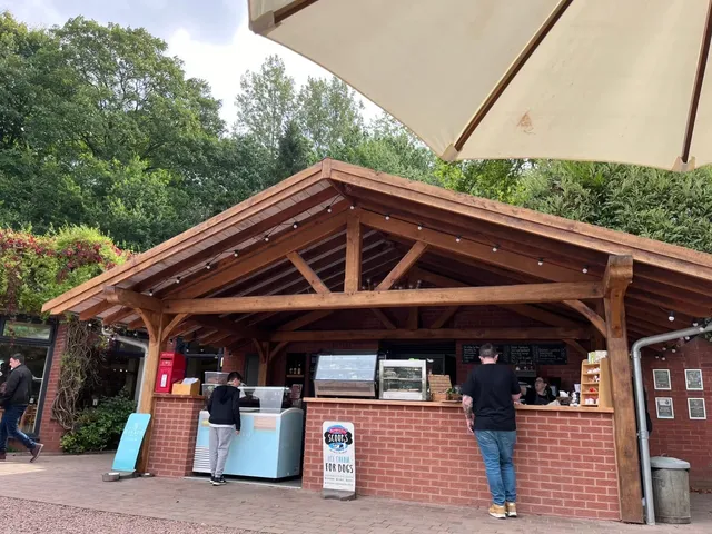  Birmingham Family Adventure | Bodenham Arboretum Walk 🌳👨‍👩‍👧‍👦