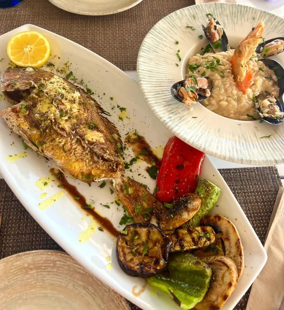 🇬🇷 Greek Food Guide: No Regrets! 🚫💣