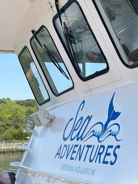 VA Aquarium | Dolphin Tour to See Dolphins 🐬