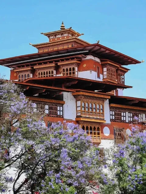  A Journey of Happiness Not to Be Missed