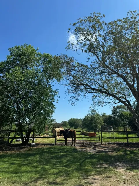 Houston Weekend Escape | Be a Texas Cowgirl for a Day! 🤠🐎
