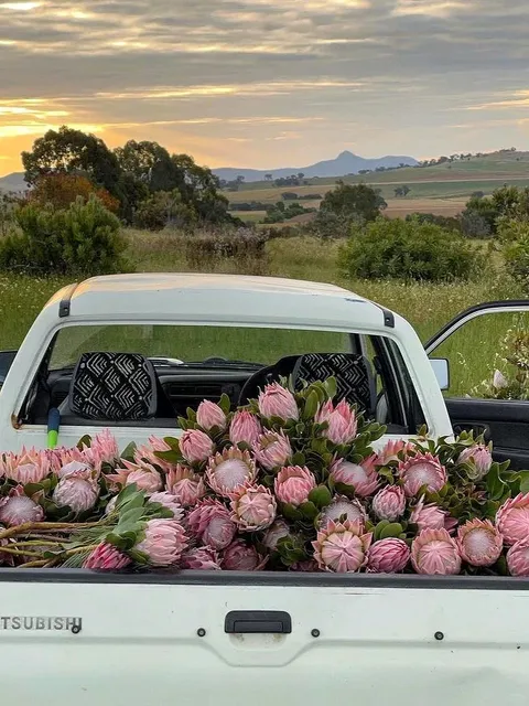 🇦🇺 Wagga Wagga