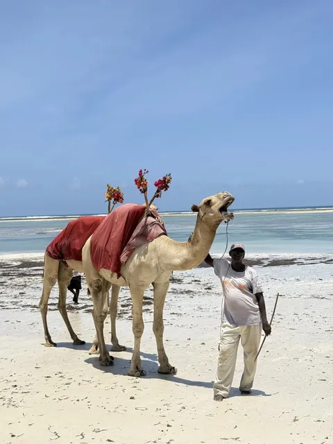 Mombasa is So Amazing I Have to Write About It! 🌍✨