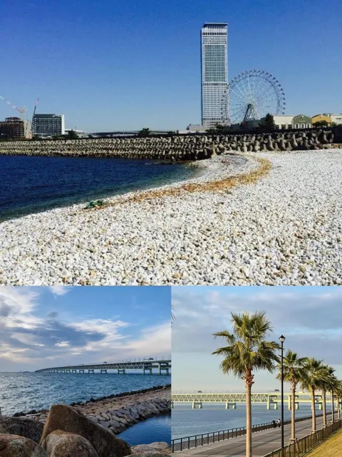 Izumisano City, Japan 🌟