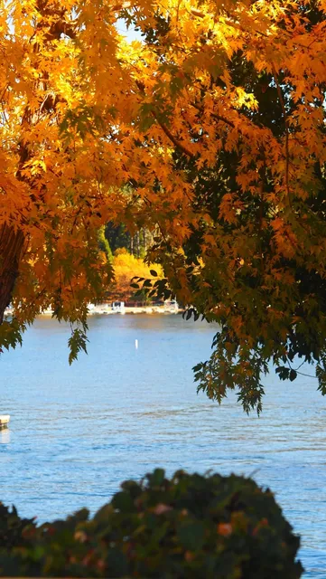 Lake Arrowhead 🍂 Autumn