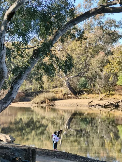 🇦🇺 Albury: A Half-Day Fairytale of Mist & Sunbeams