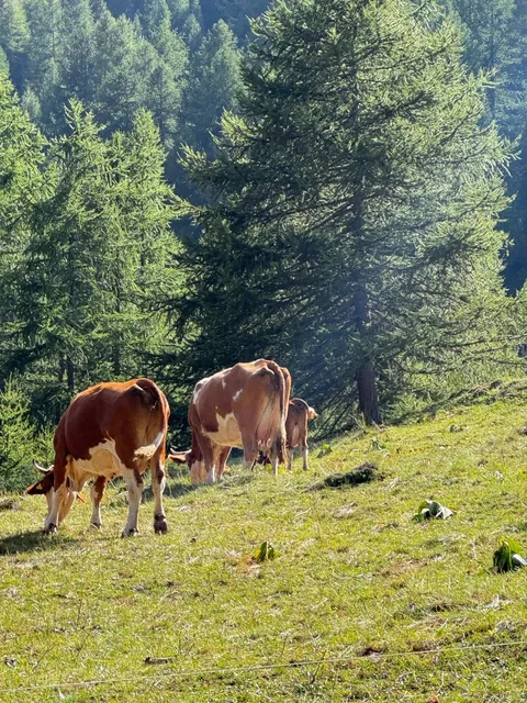 🇮🇹 Hiking Near Turin – The Affordable Dolomites Alternative