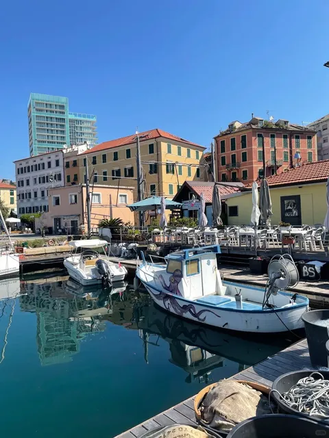 Savona🇮🇹｜The Jellyfish Sea of My Dreams 🌊