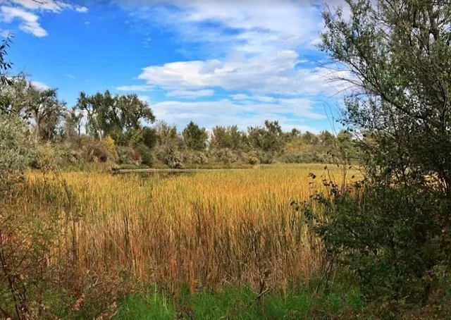 Riverfront Park: A Great Riverside Getaway