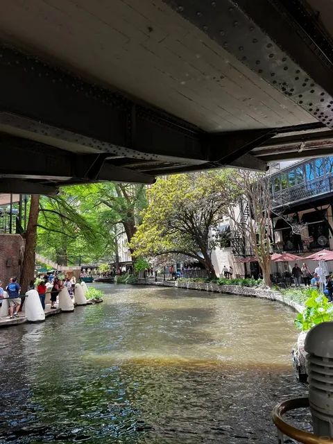 I Can’t Believe I Just Discovered How Amazing Live Photos Are!