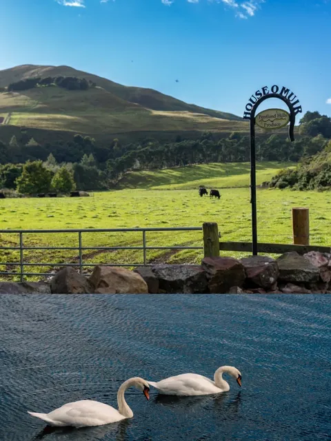 Pentland Hill | Edinburgh’s Absolute Best Hiking Park