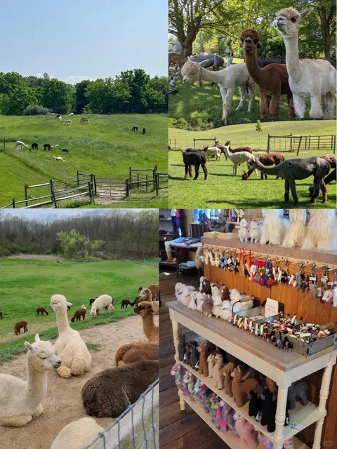 📸 Rochester‘s Hidden Gems