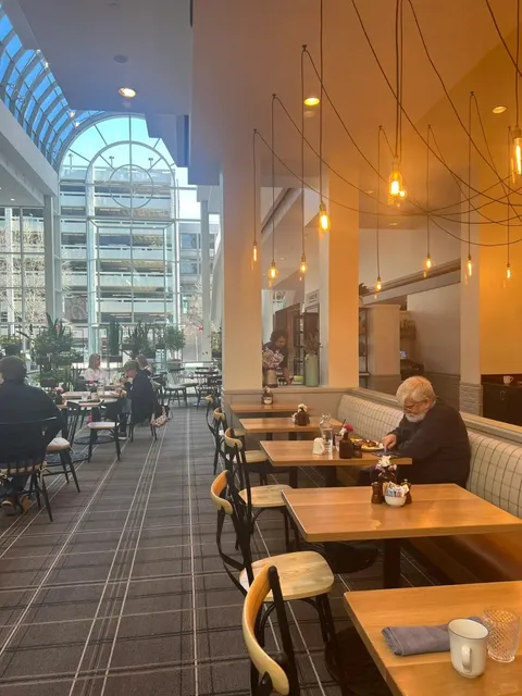 🐶 Pet-Friendly Hotels in Richmond, VA: Omni & More