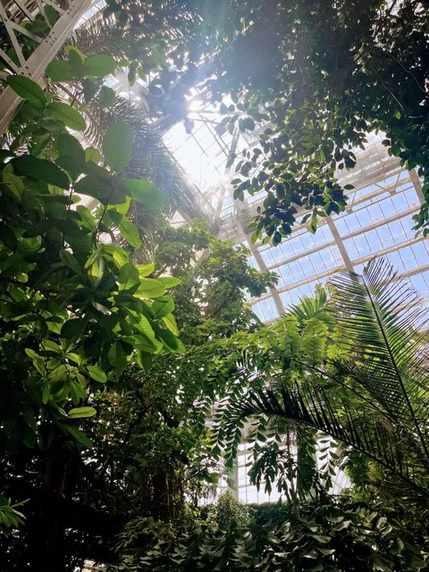 🌿 U.S. Botanic Garden｜Small but Refreshing🌸