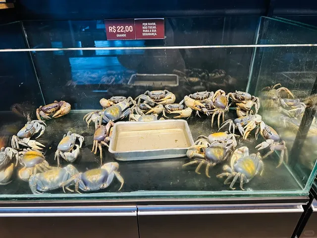 🦀 Brazil 🇧🇷 | Don’t Leave Recife Without Trying This Crab Spot!