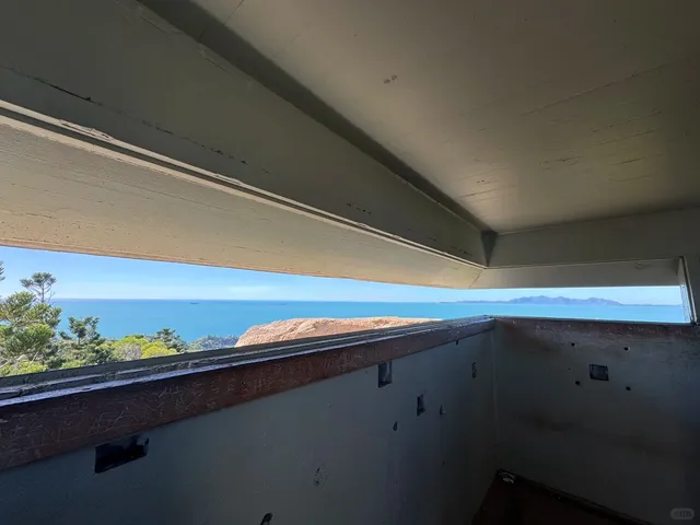 🐨 A Lucky Day on Magnetic Island – Spotted 3 Wild Koalas! 🌿📸