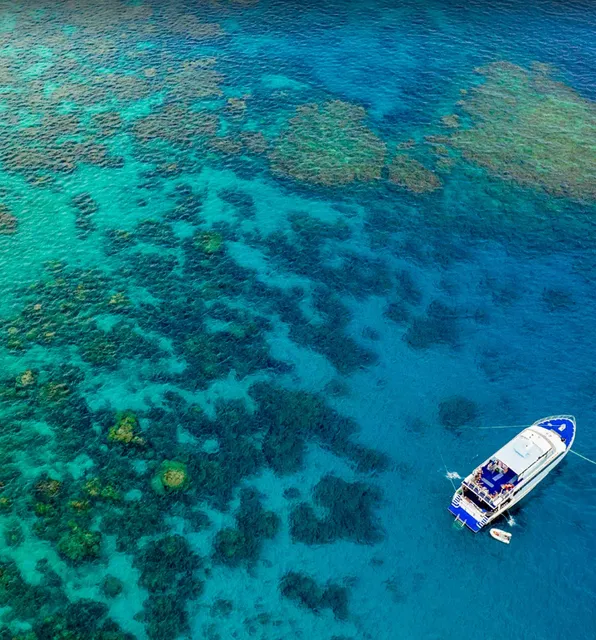 Ultimate Queensland Travel Guide | 9 Iconic Experiences