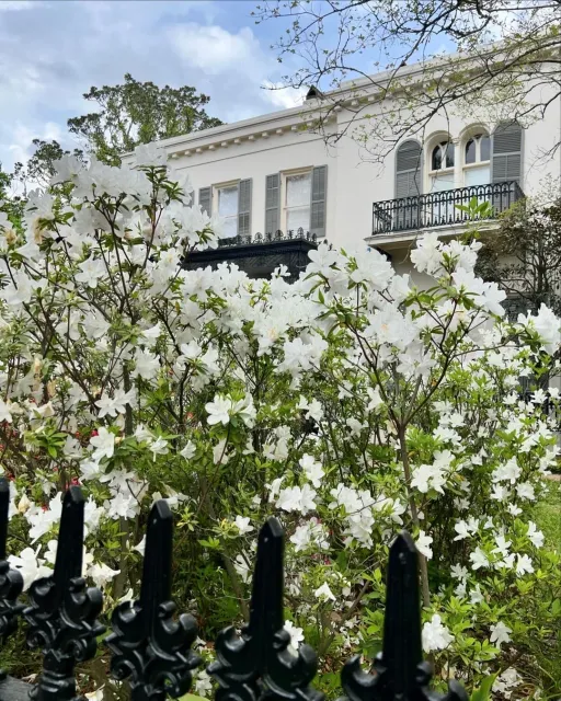 🚌 An Amazing City Bus Tour with Elizabeth! 🌟