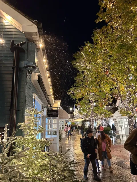 🇬🇧 Oxford + Bicester Black Friday Haul! 🛍️✨