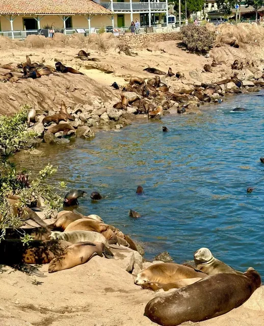 California State Route 1 – Ultimate Pacific-Coast Road-Trip Playbook