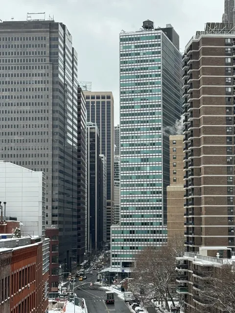 A Day Living Like a "Street Rat" in New York 🐀🗽