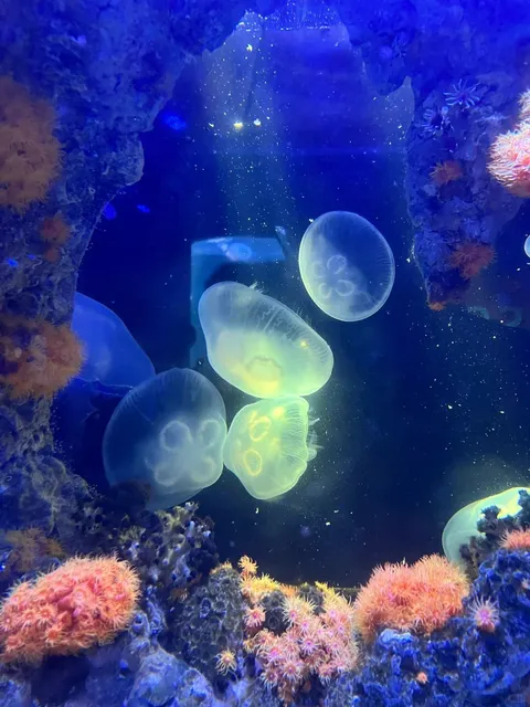 New York Aquarium 🐟🌊