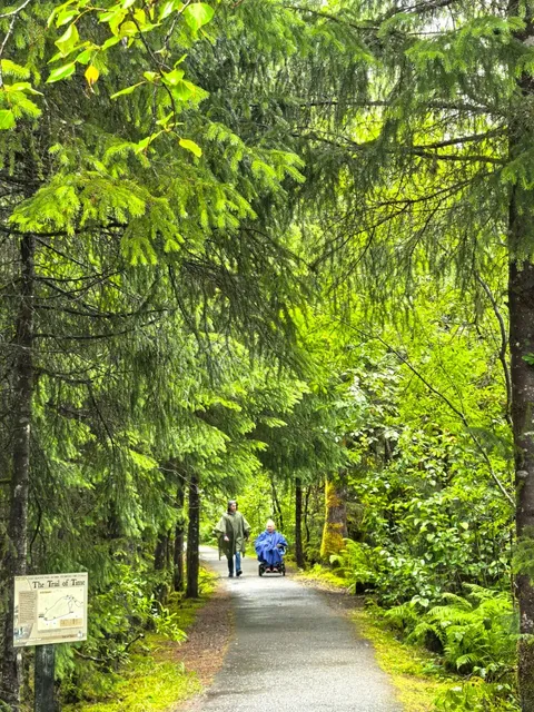 A Juneau Adventure Without English: Two Moms on an Alaska Cruise 