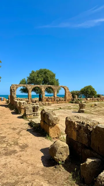 🇩🇿 Algeria Travel Tips: Survive & Thrive!