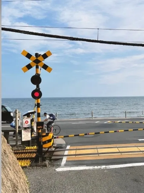 Enoshima Electric Railway 🚃🌸