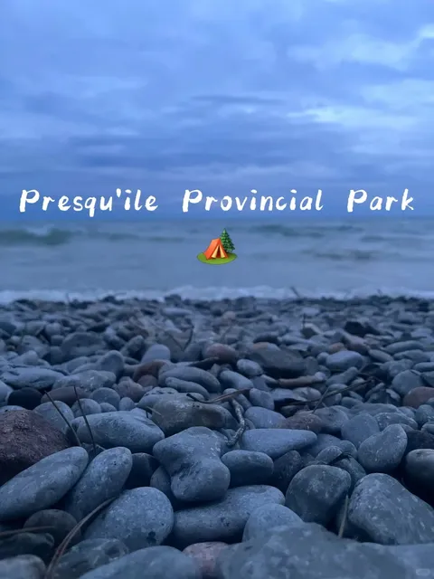🦜 Presqu'ile Park - A Birder's Paradise & Perfect Spring Getaway! 🌿 